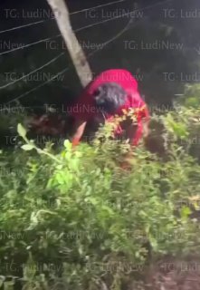 Kiyinish xonasida dostona jinsiy aloqa